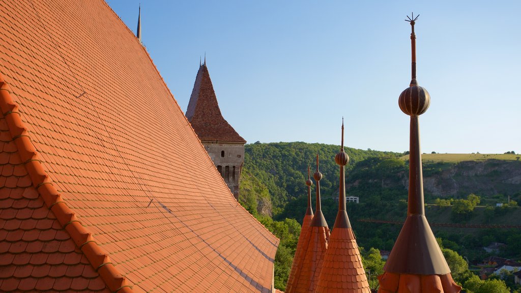 Castillo de Hunedoara mostrando arquitectura patrimonial