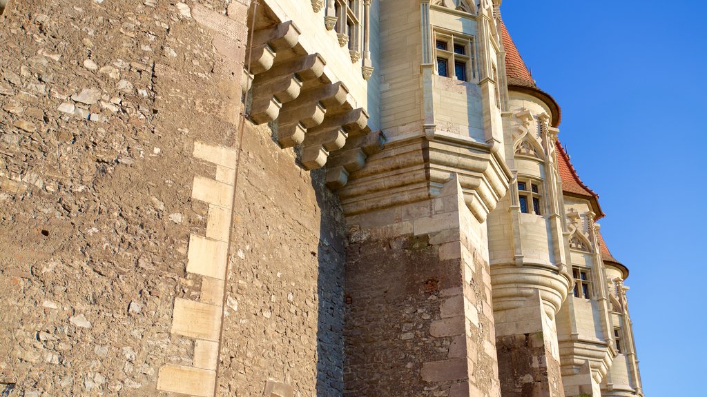 Castelo Hunedoara que inclui um castelo e arquitetura de patrimônio