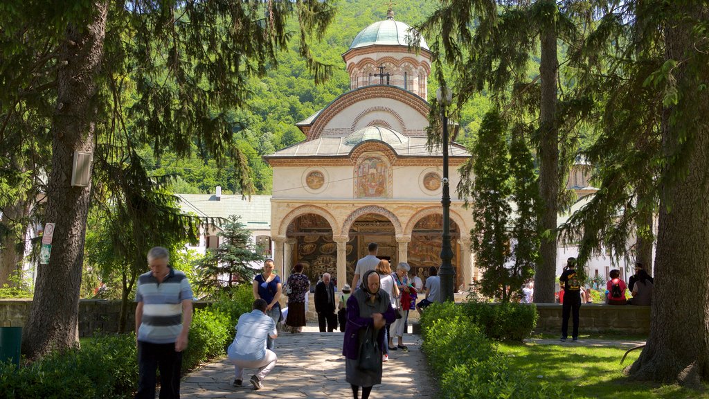 Cozia Monastery showing a park