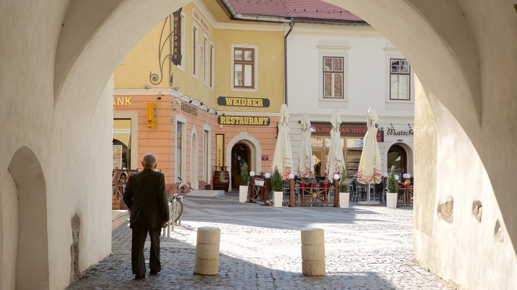 Piata Mare which includes heritage architecture and a square or plaza