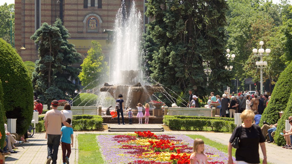 Piata Operei showing a fountain and a garden