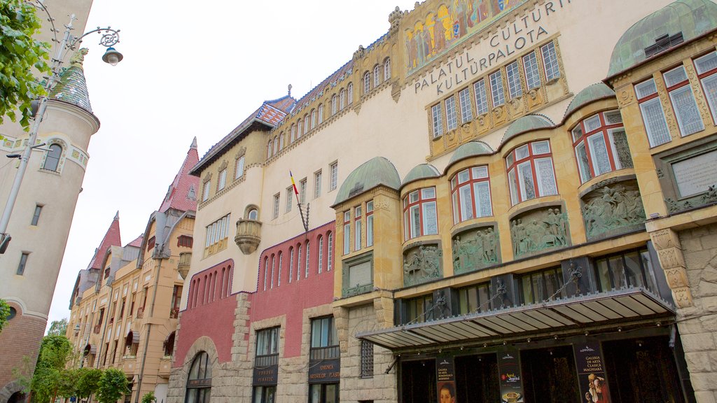 Tirgu Mures Cultural Palace which includes heritage architecture