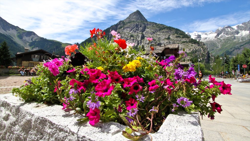 Courmayeur que incluye flores