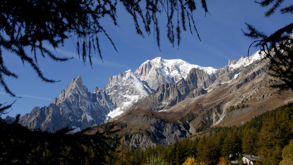 Courmayeur trong đó bao gồm những ngọn núi và tuyết