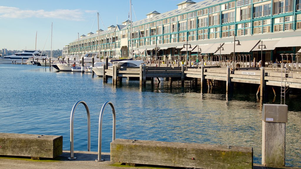 Woolloomooloo showing a bay or harbor