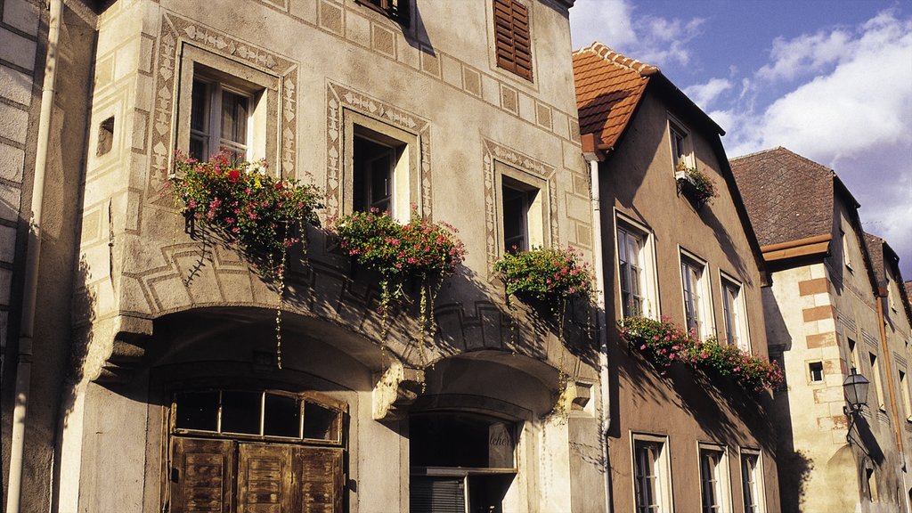 Krems an der Donau mostrando patrimonio de arquitectura y una casa