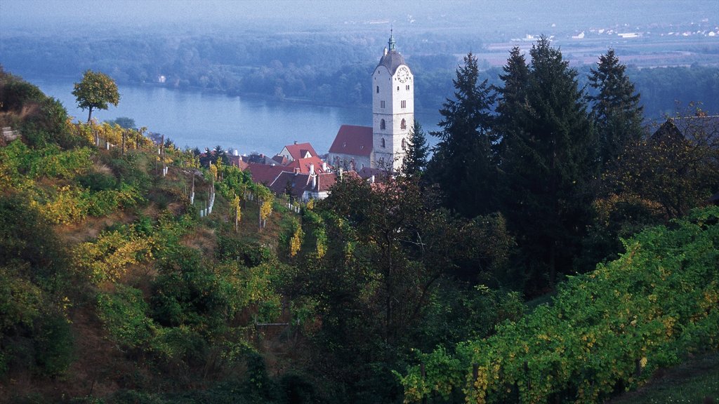 Krems an der Donau showing forest scenes