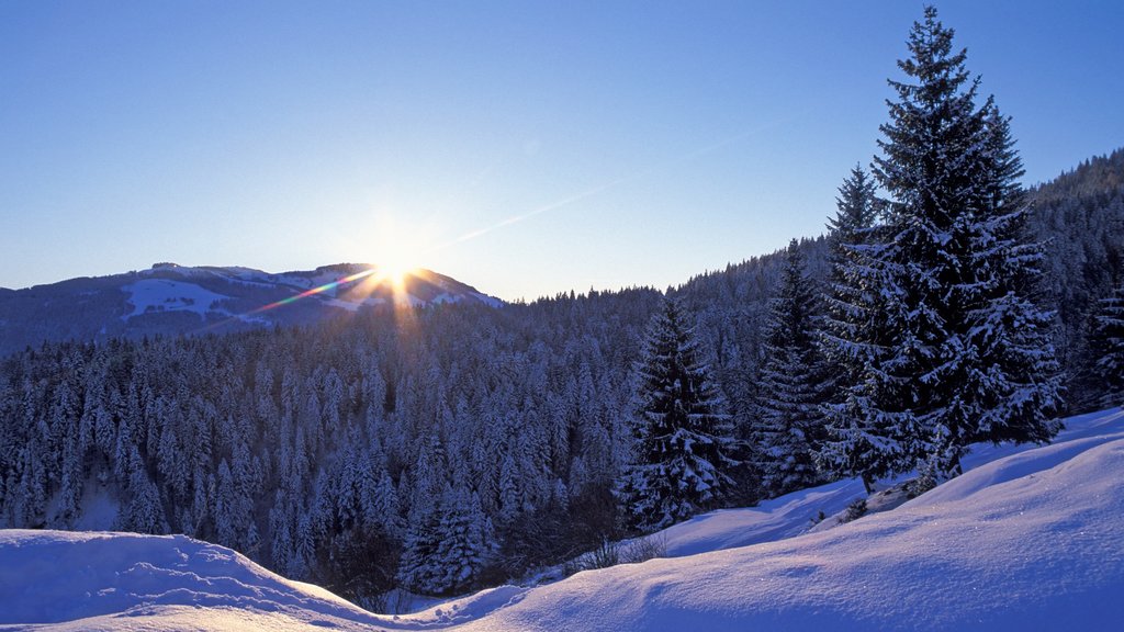 Scheffau am Wilden Kaiser som visar skogslandskap, snö och en solnedgång