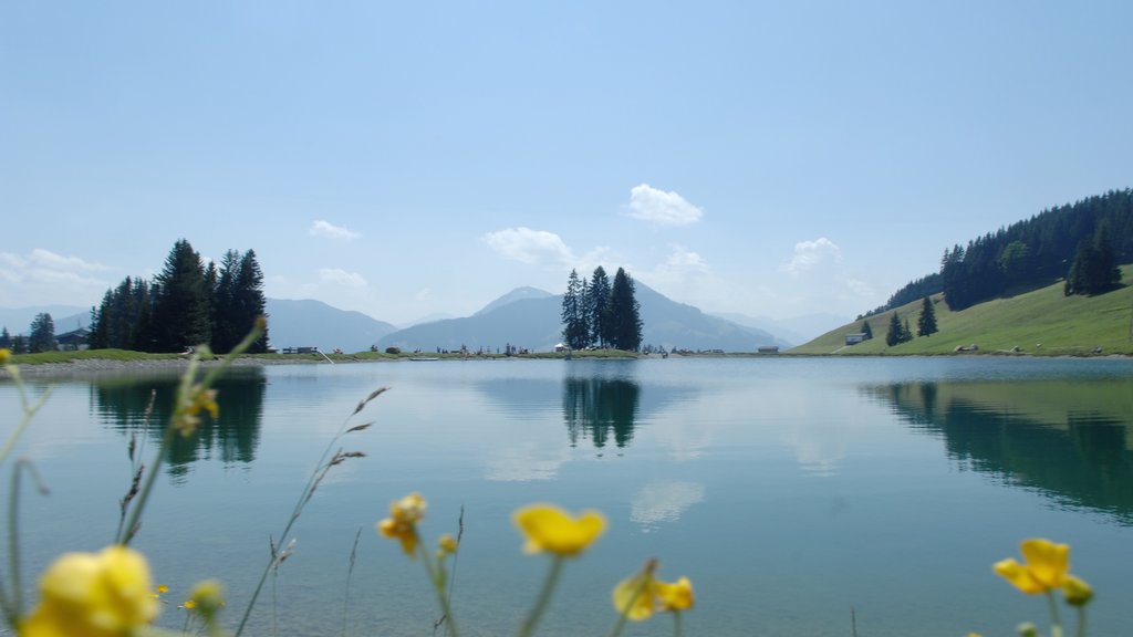 Brixen im Thale que inclui um lago e flores