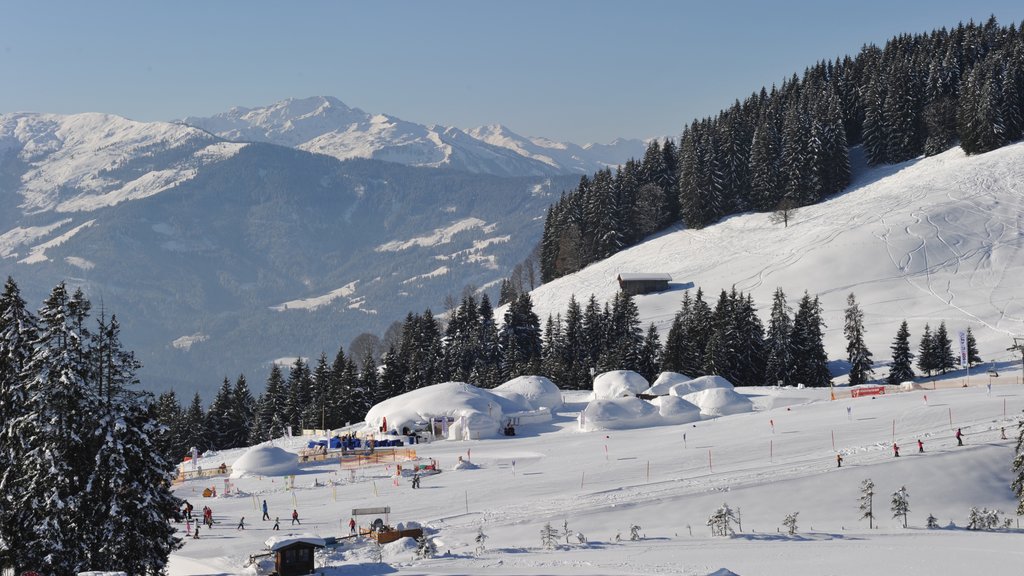 Brixen im Thale featuring mountains, forests and snow