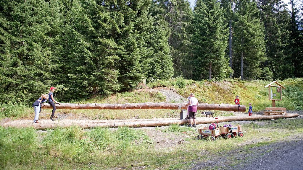 Brixen im Thale montrant paysages en forêt aussi bien que un petit groupe de personnes