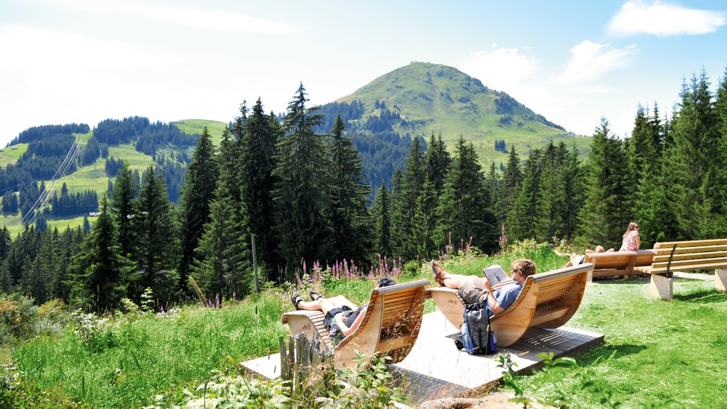 Brixen im Thale showing views and forests