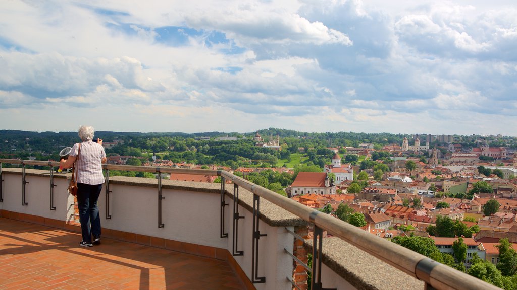 Torre Gediminas ofreciendo vista y vista panorámica y también una mujer