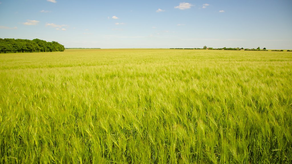 Centre - Loire Valley which includes tranquil scenes