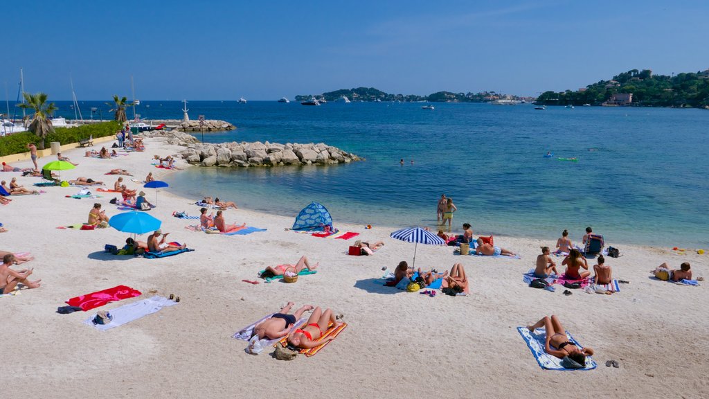 Niza mostrando una playa de arena y también un gran grupo de personas