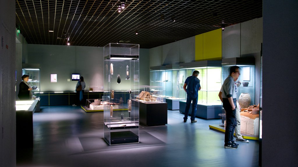 Aquitaine Museum featuring interior views