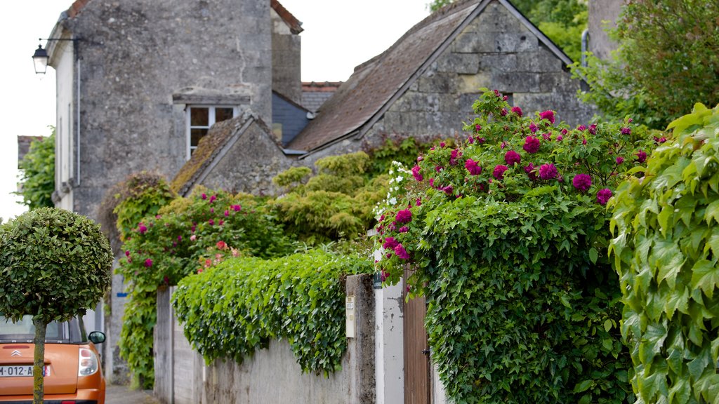 Savonnières toont bloemen