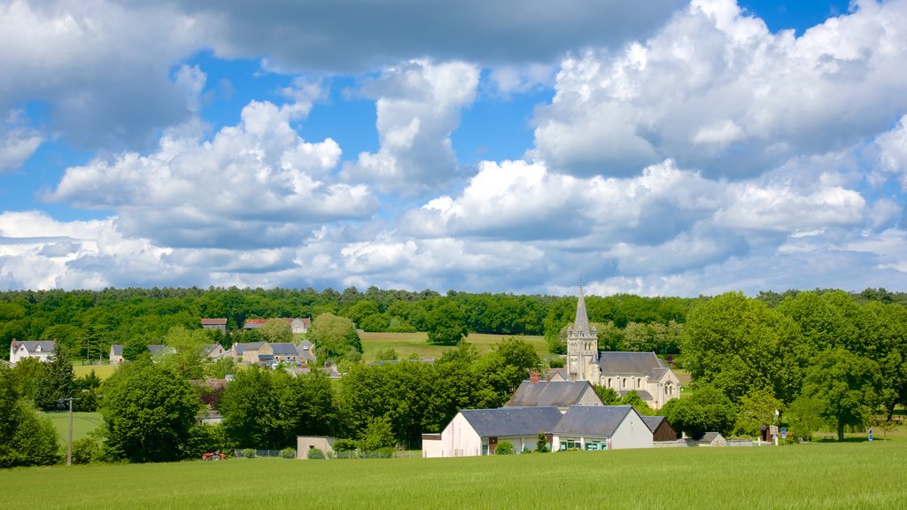 Saint-Benoit-sur-Loire ofreciendo una pequeña ciudad o pueblo y escenas tranquilas