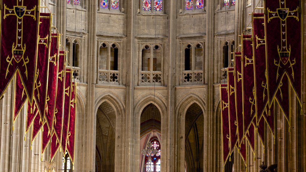 Catedral Sainte-Croix que incluye vistas interiores y una iglesia o catedral