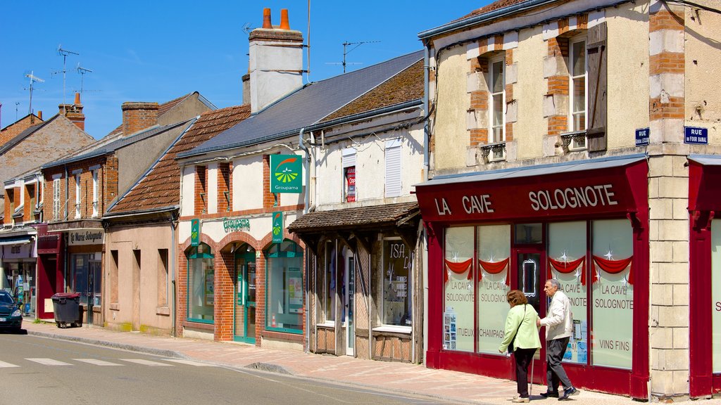 La Ferte-Saint-Aubin which includes signage as well as a couple