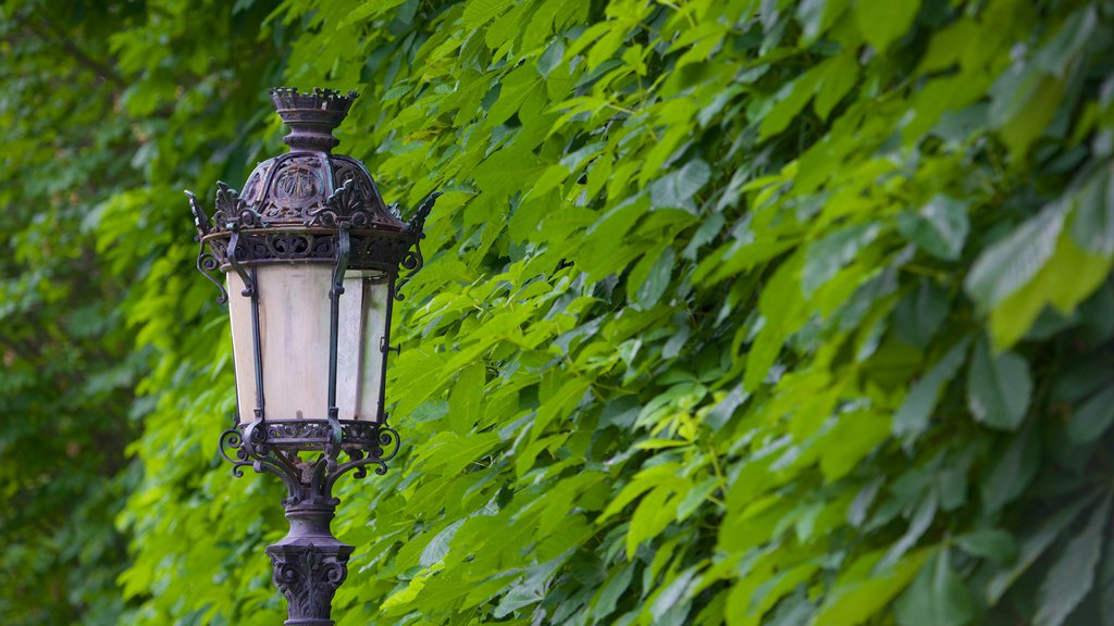 6th Arrondissement showing a park