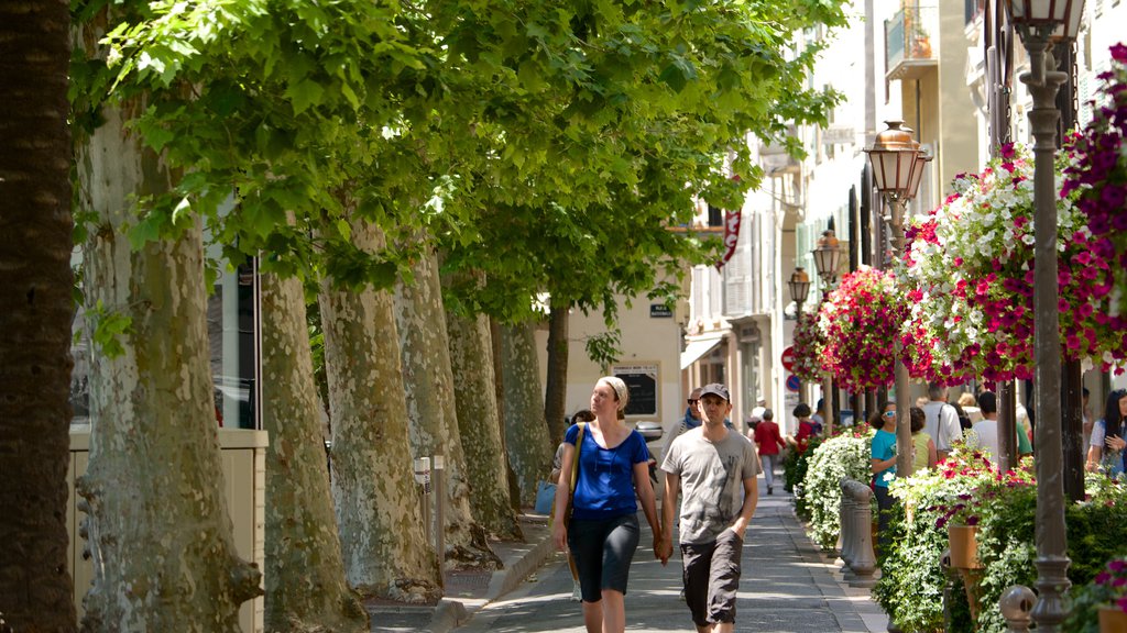 Antibes showing a garden and street scenes as well as a couple