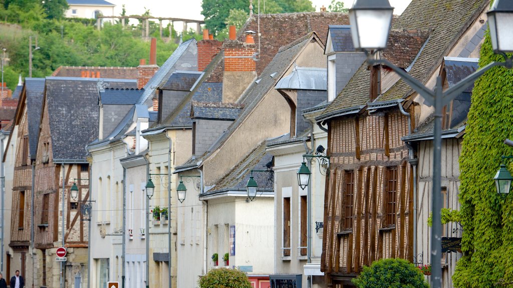 Amboise mostrando una pequeña ciudad o pueblo y elementos del patrimonio