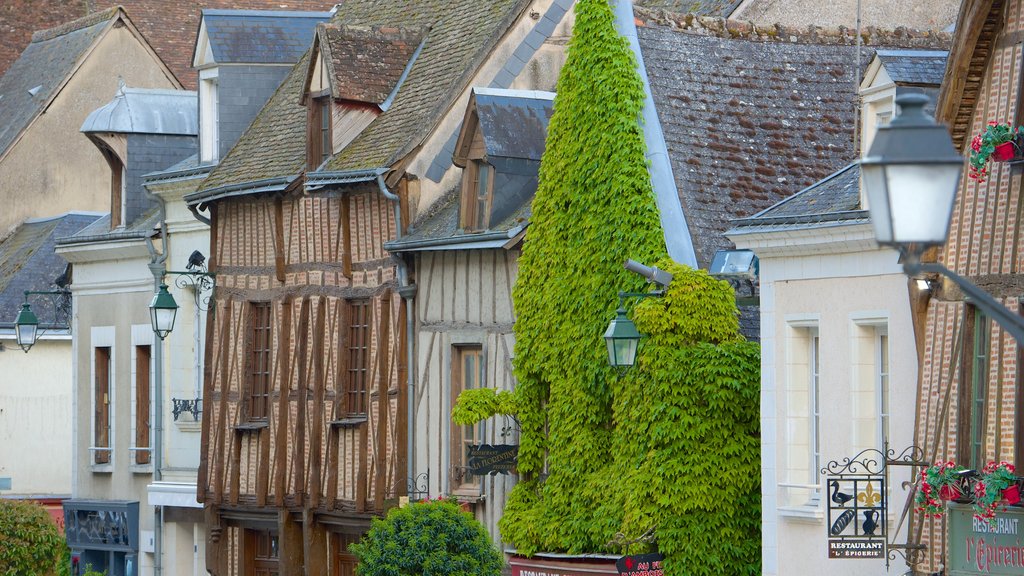 Amboise mettant en vedette une petite ville ou un village et éléments du patrimoine