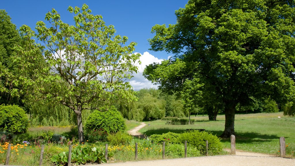 Saint-Benoît-sur-Loire montrant jardin