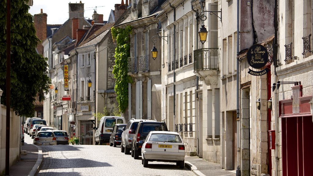 Saint-Aignan que incluye escenas urbanas y elementos del patrimonio