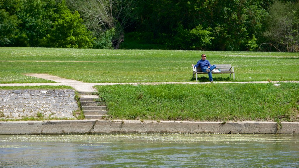 Saint-Aignan showing a park as well as an individual male