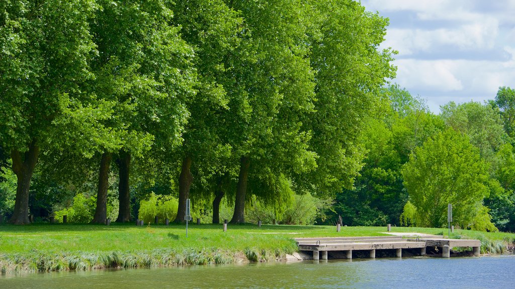 Saint-Aignan showing a park