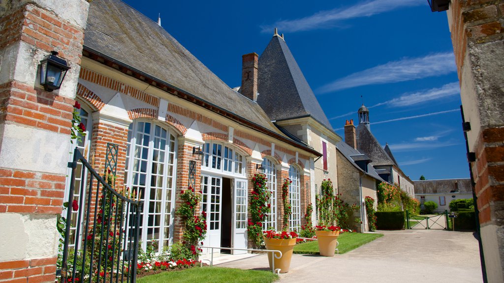 Chateau de Cheverny que incluye flores, arquitectura patrimonial y un castillo