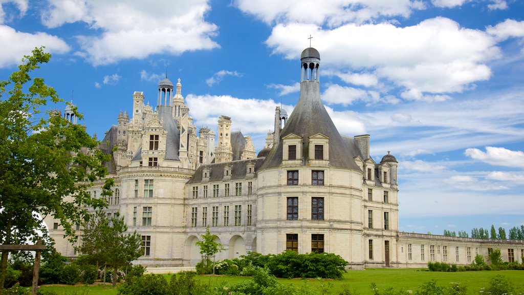 Chateau de Chambord showing a castle, a garden and heritage architecture