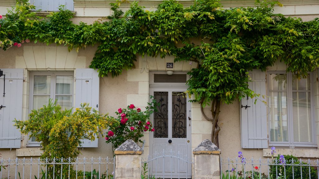 Chaumont-sur-Loire showing flowers and a house