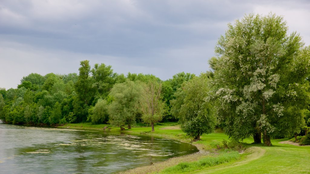 Selles-sur-Cher ofreciendo un parque y un lago o espejo de agua