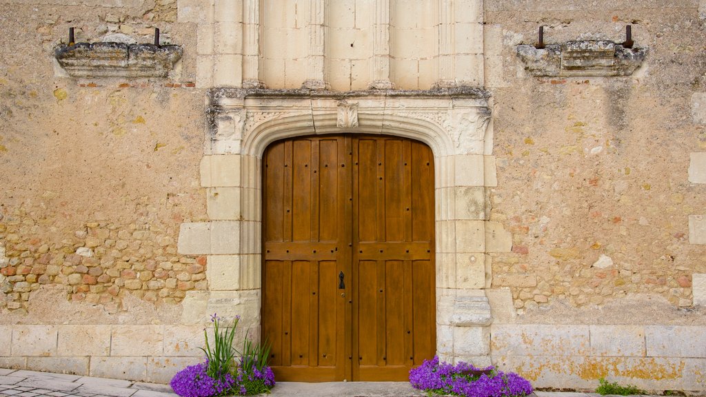 Chenonceaux que incluye elementos del patrimonio