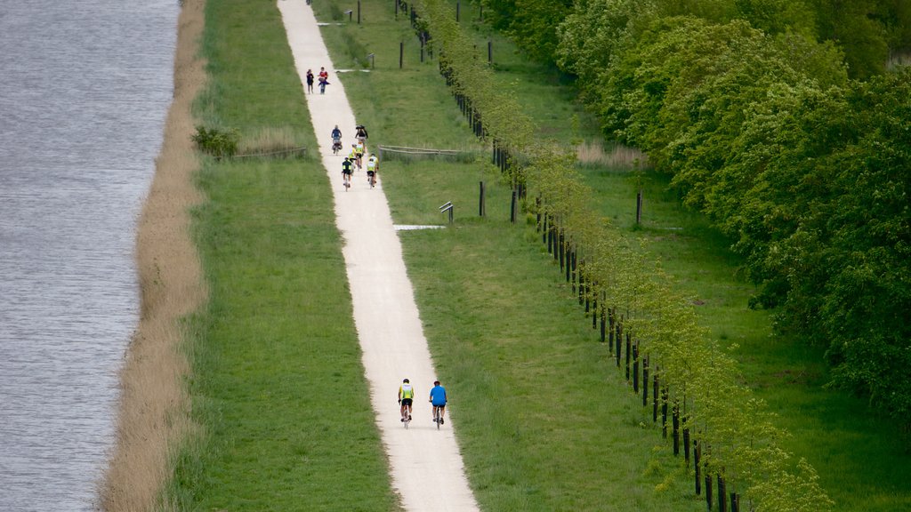 Chateau de Chambord showing cycling and a garden