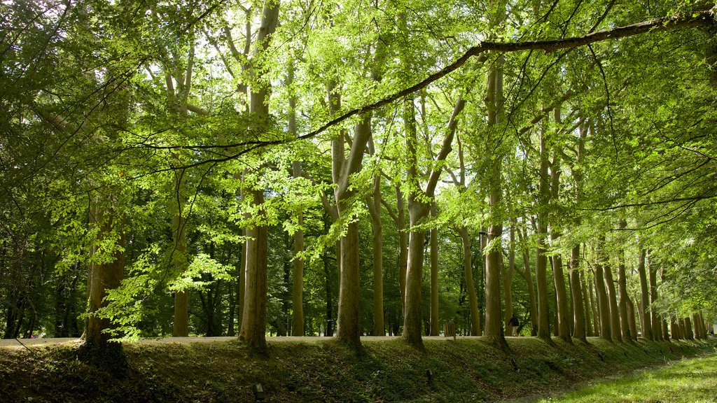 Chateau de Chenonceau showing a park