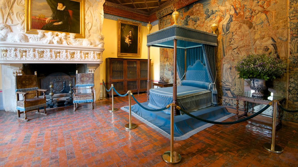 Château de Chenonceau inclusief kunst, kasteel of paleis en interieur