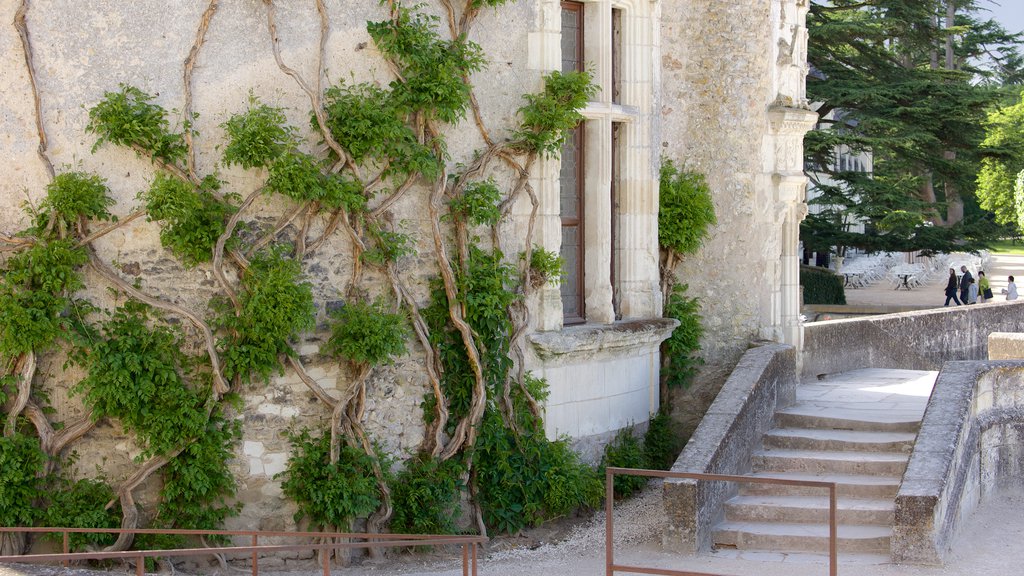 Chateau de Chenonceau which includes heritage elements and château or palace