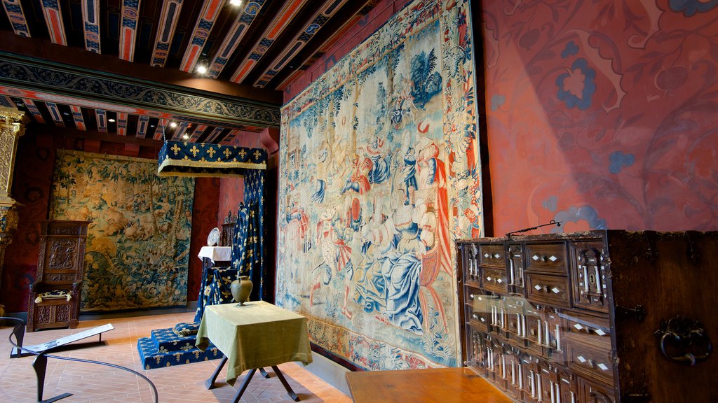 Chateau de Blois ofreciendo un castillo, vista interna y arte