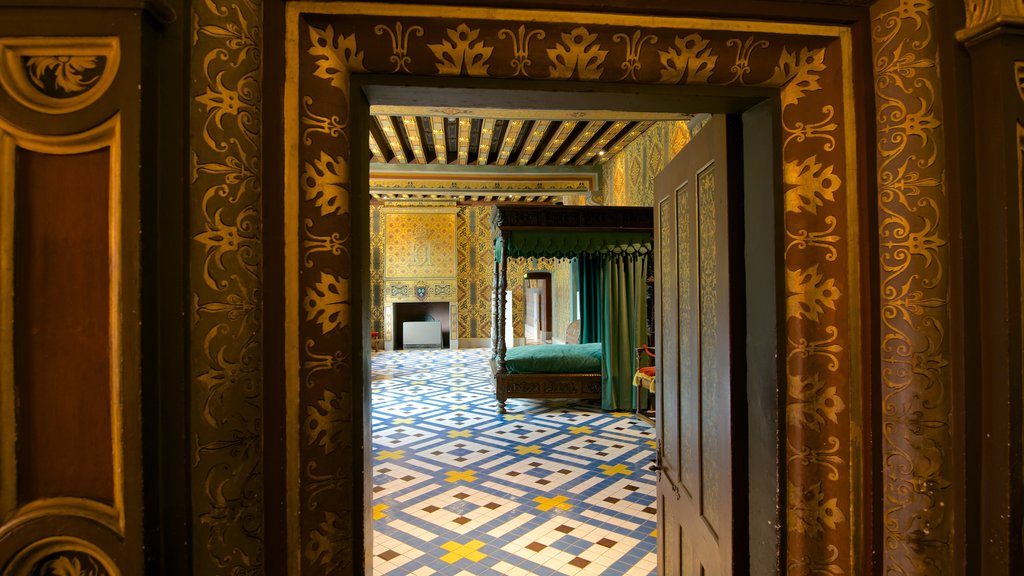 Chateau de Blois que incluye un castillo y vista interna