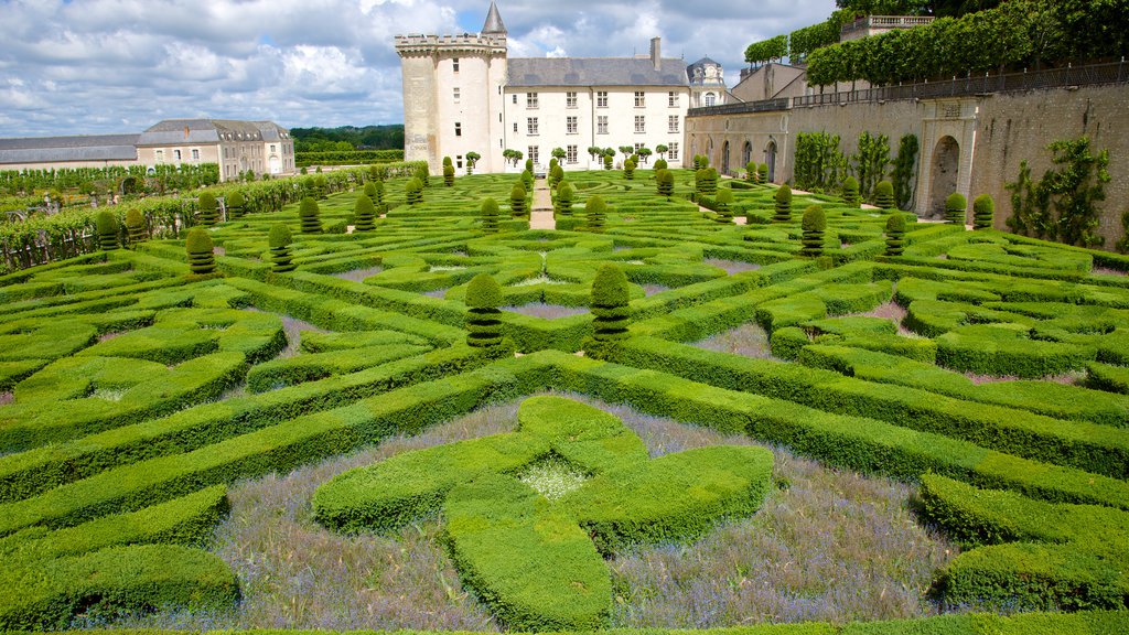 Chateau de Villandry showing a garden and a castle