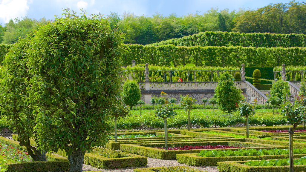 Château de Villandry montrant château et jardin