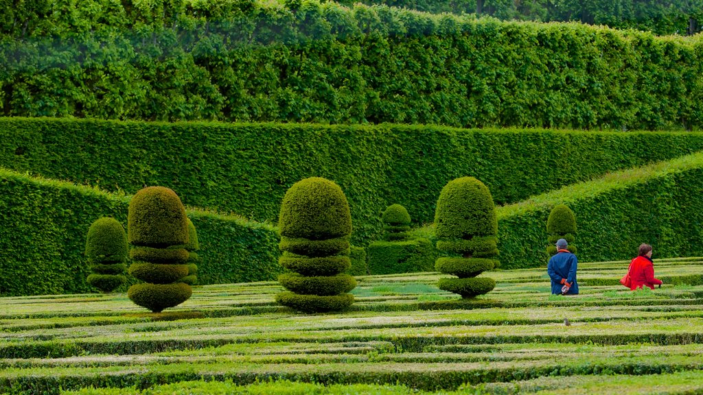 Chateau de Villandry showing a garden and château or palace