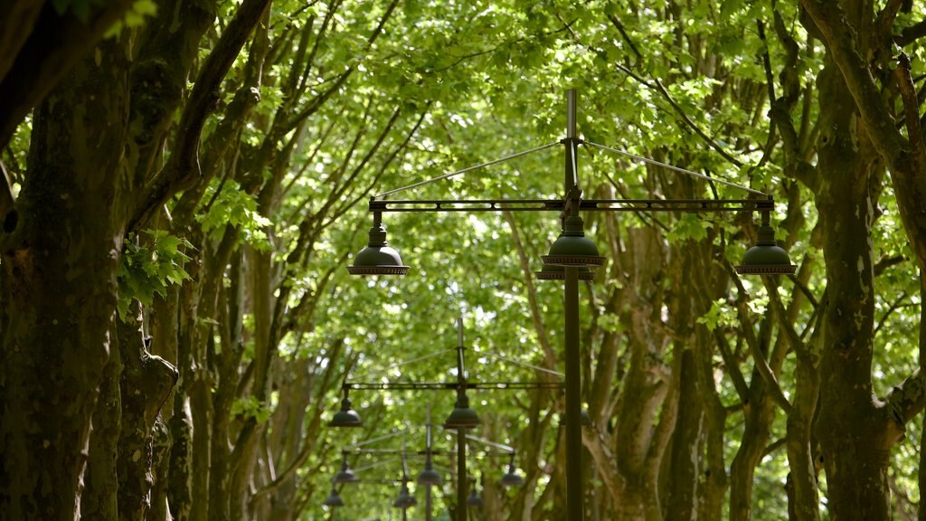 Place des Quinconces que incluye un jardín