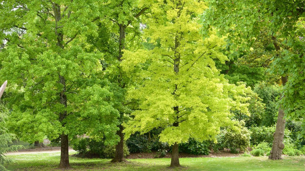 Jardin public mettant en vedette un jardin