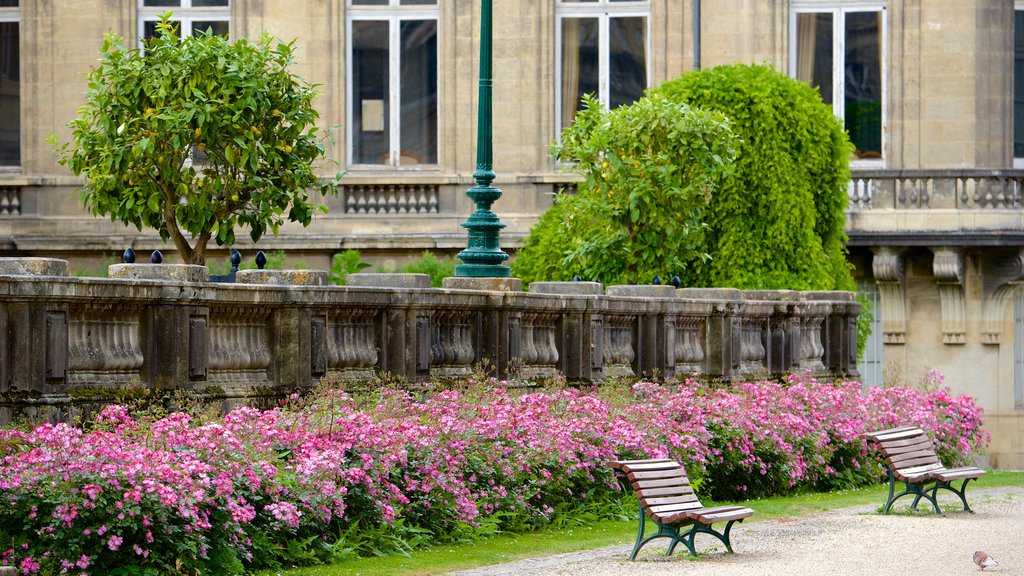 Jardin public montrant fleurs et un parc