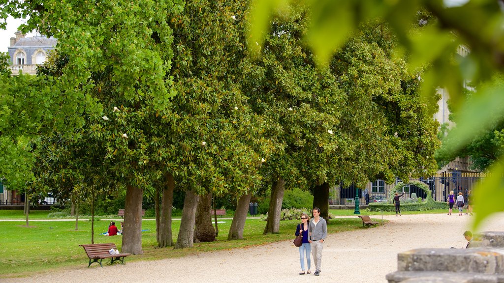 Jardin public montrant un parc aussi bien que un couple